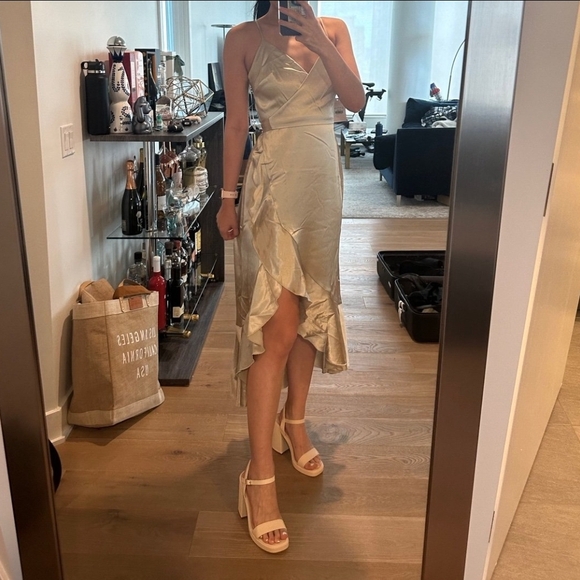 Birdy Grey YC Midi Dress - Picture 4 of 4